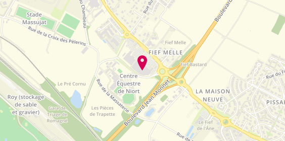 Plan de Clopinette, 358 Route d'Aiffres, 79000 Niort